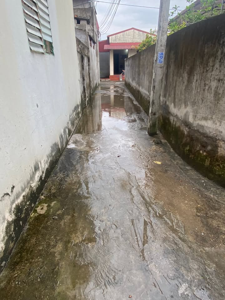 Đất nền Phố Hiến 74m² giá 1.15 tỷ - Cơ hội an cư tuyệt vời!