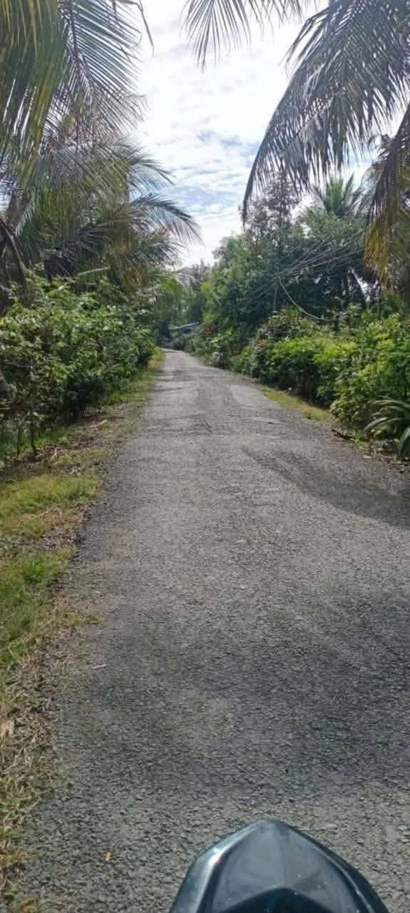 Đất nền mặt tiền đường Huyện 58B, xã Mỹ Hạnh Trung, 600m² giá 1.4 tỷ - Đầu tư sinh lời!