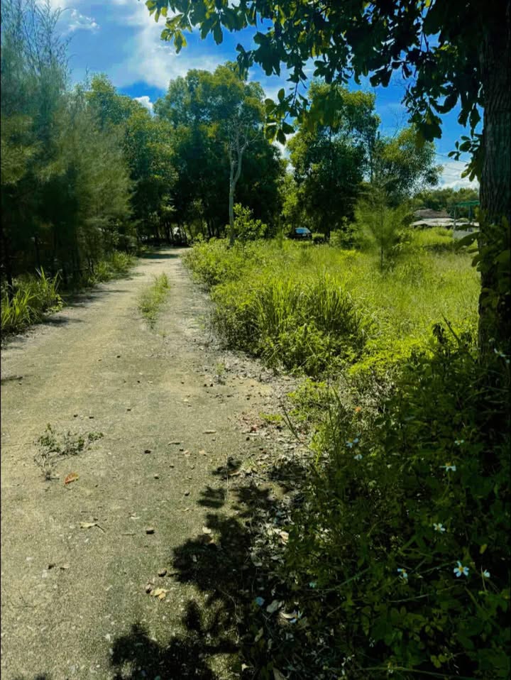 Đất nền Thôn 5 Gio Hải 178.5m² giá 400 triệu - Sổ đỏ chính chủ, gần biển!