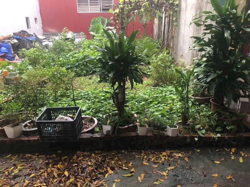 Đất thổ cư Vĩnh Thanh Vĩnh Ngọc 60m² giá 5 tỷ - Đầu tư sinh lời cao!