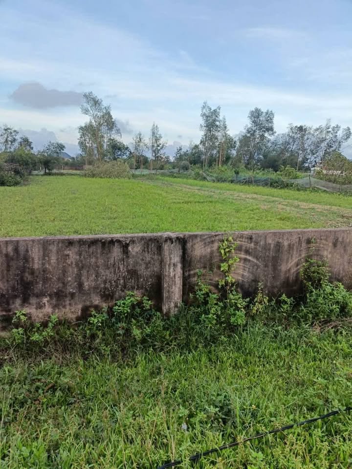 Đất mặt đường nhựa Nghi Kiều 432m² - Cơ hội đầu tư tuyệt vời!