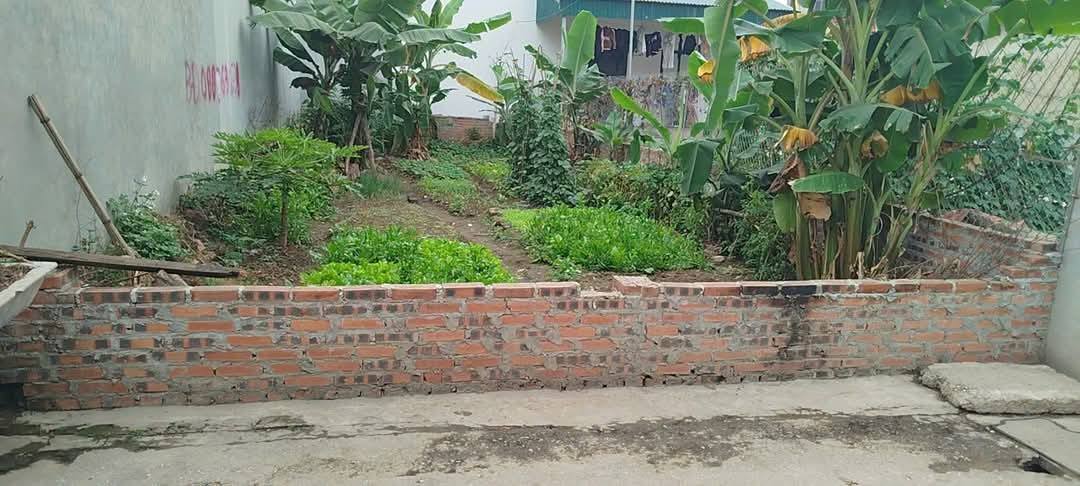 Đất thổ cư Thanh Trù, Vĩnh Yên 105m² giá 1,9 tỷ - Đầu tư tiềm năng