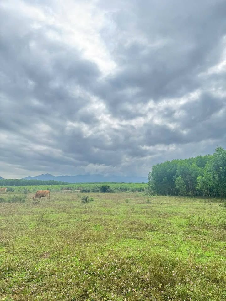 Đất nền thôn Hòn Lay, xã Khánh Hiệp 1.124m² giá chỉ 200 triệu - Cơ hội đầu tư tuyệt vời!