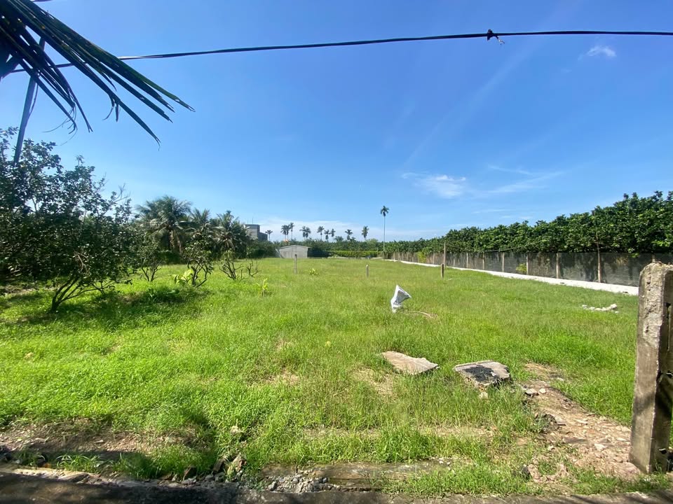 Đất nền phường Mỹ Phong 85m² giá 570 triệu - Sổ hồng riêng chính chủ!