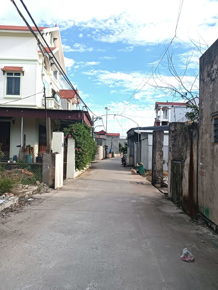 Đất nền Tự Nhiên Thường Tín 43.5m² giá 1.85 tỷ - Đón tài lộc ngay hôm nay!