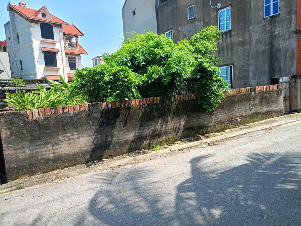 Đất nền chính chủ xã Thuận An 374m² - Pháp lý rõ ràng, giá thỏa thuận!