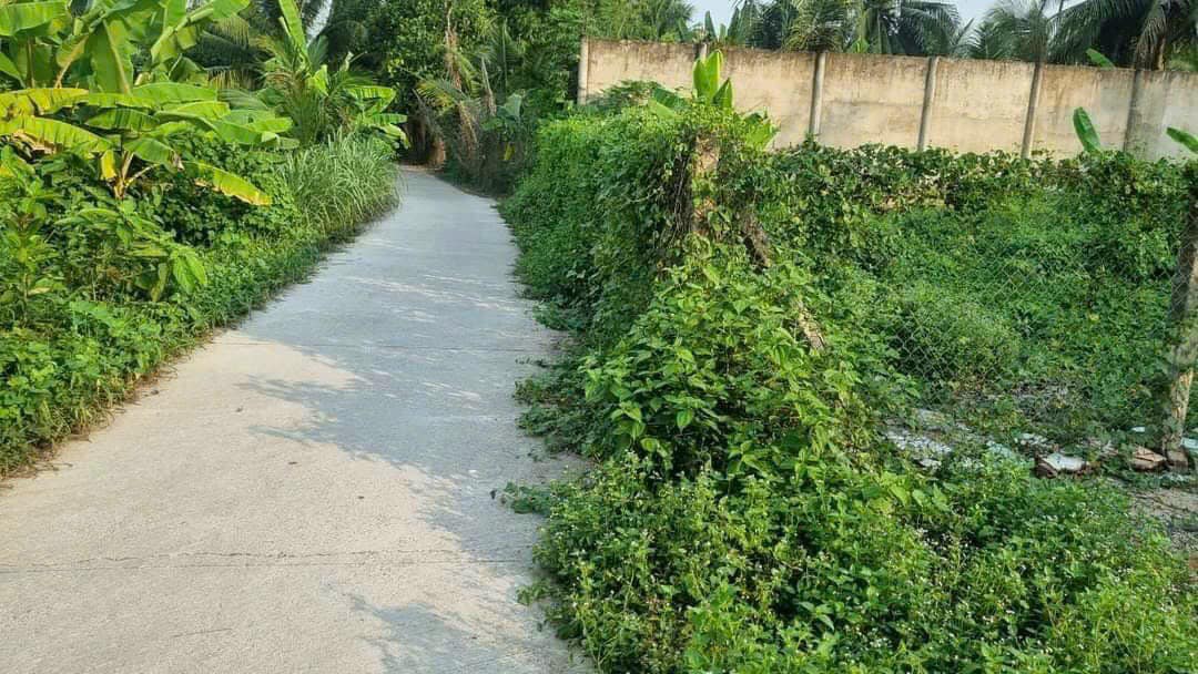 Đất nền 5x19m tại Nhị Quý, Cai Lậy - Giá chỉ 470 triệu, sẵn sàng xây dựng!