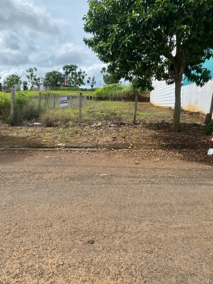 Đất Tái Định Cư Trần Hưng Đạo Đắk Mil 310m² giá 300 triệu - Hướng Hồ N3