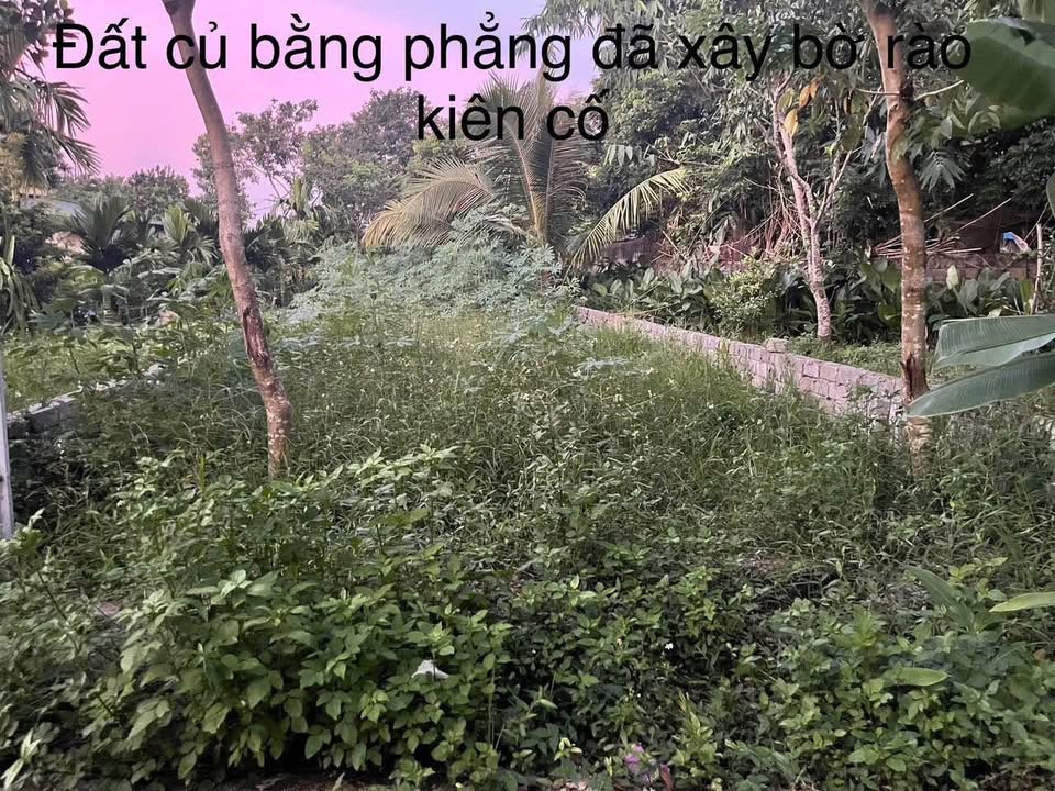 Đất nền Trung Môn Yên Sơn 150m² giá 1.1 tỷ - Ngõ rộng ô tô vào thoải mái!