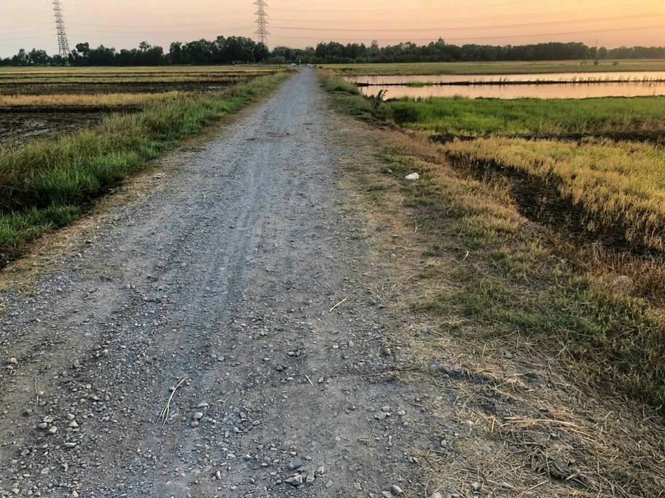 Đất nền Tân Phú Trung 1780m² giá 2 tỷ - Cần bán gấp, chính chủ!