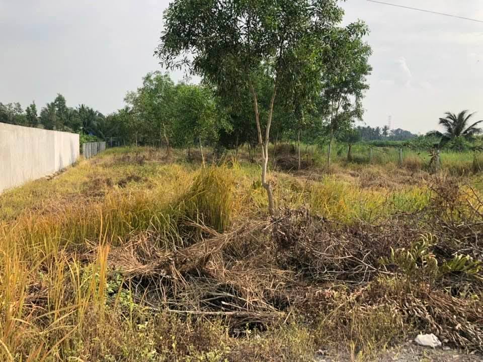 Đất vườn Ấp 1, Bình Đức, Bến Lức, Long An 1556m² giá 3.3 tỷ - Cơ hội đầu tư tuyệt vời!