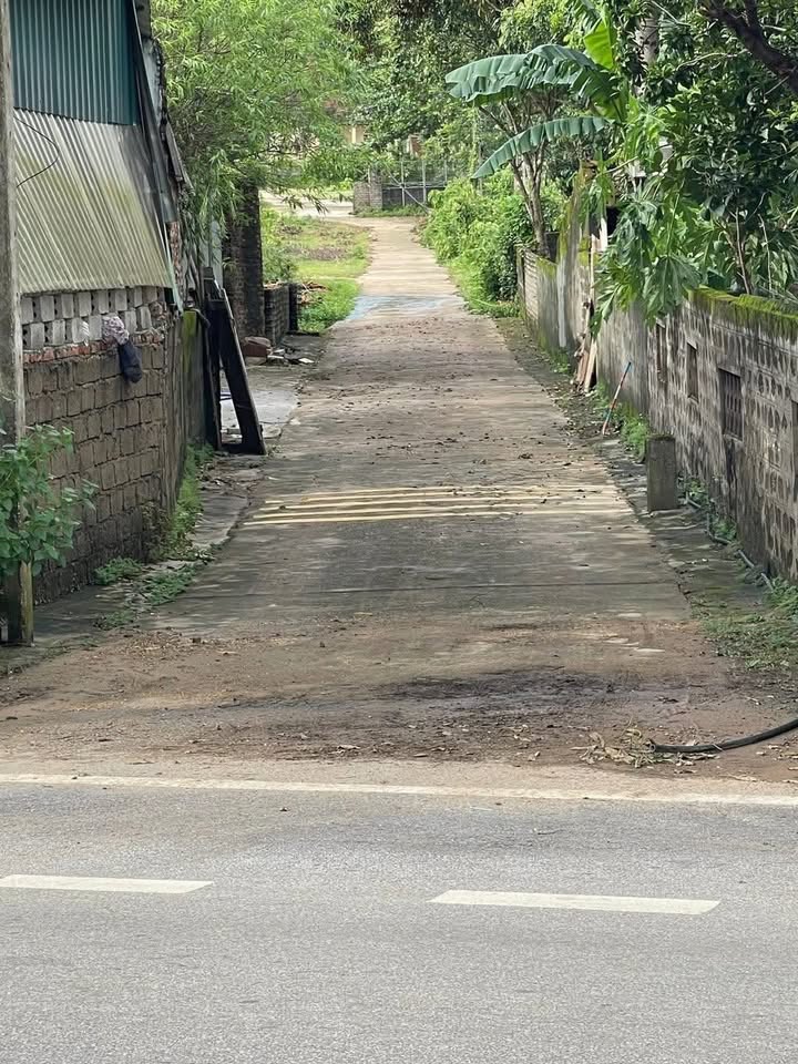 Đất nền Diễn Châu 165m² giá 6 tỷ - Cơ hội đầu tư hấp dẫn!