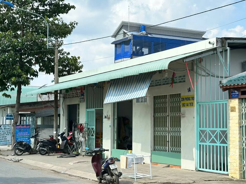 Đất nền gần Ecopark Thanh Phú, Bến Lức 99m² giá 1.5 tỷ - Đầu tư sinh lời ngay!