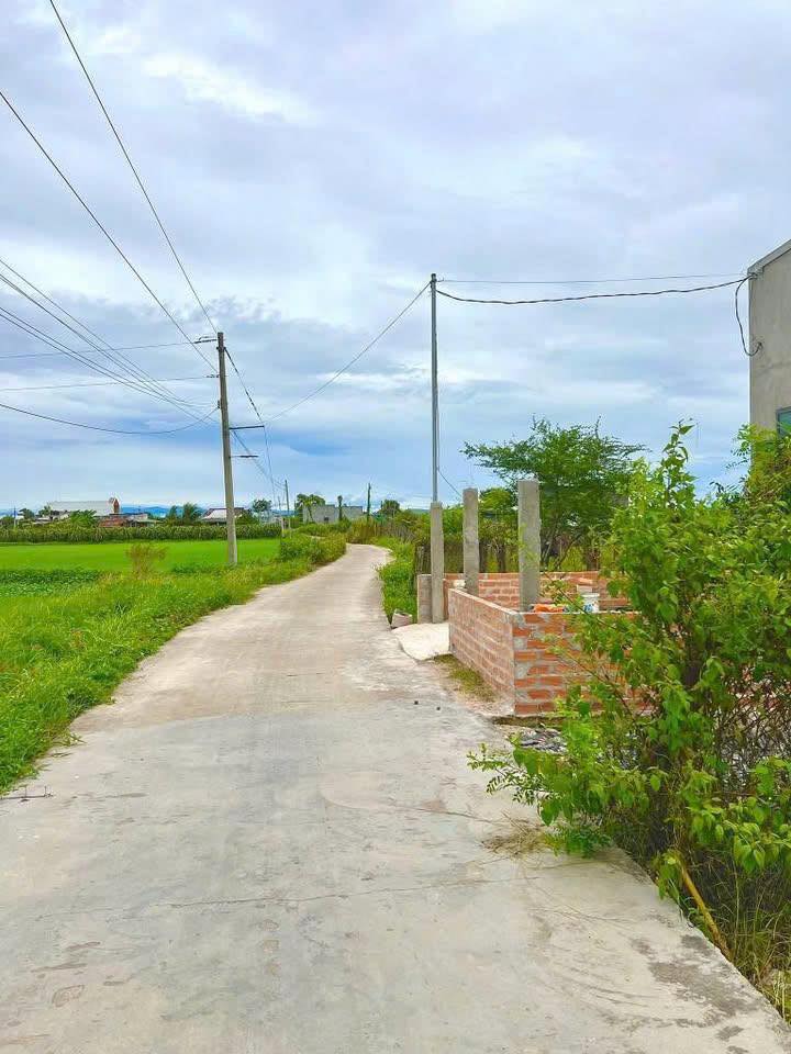 Đất thổ cư 1200m² xã Hàm Liêm - Giá chỉ 1.27 tỷ, cơ hội vàng cho nhà đầu tư!