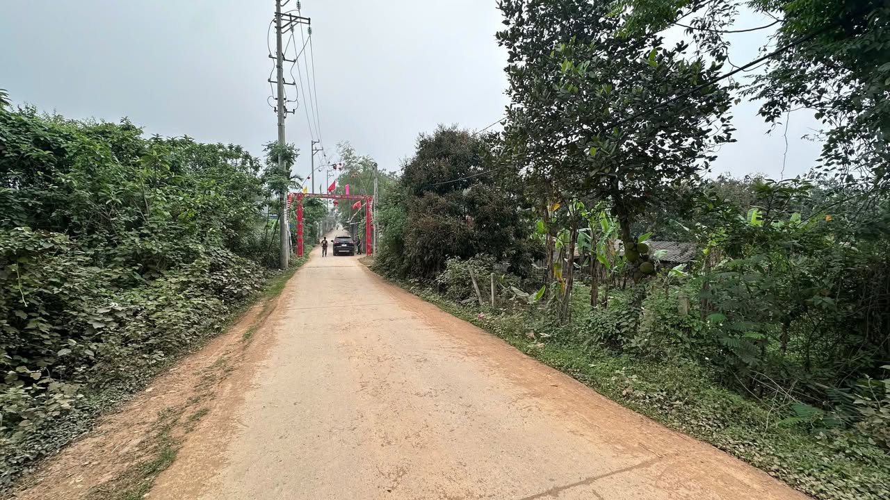 Đất nền tại Thắng Đầu, Quốc Oai, 287m² giá chỉ 2.3 tỷ - Sổ hồng chính chủ!