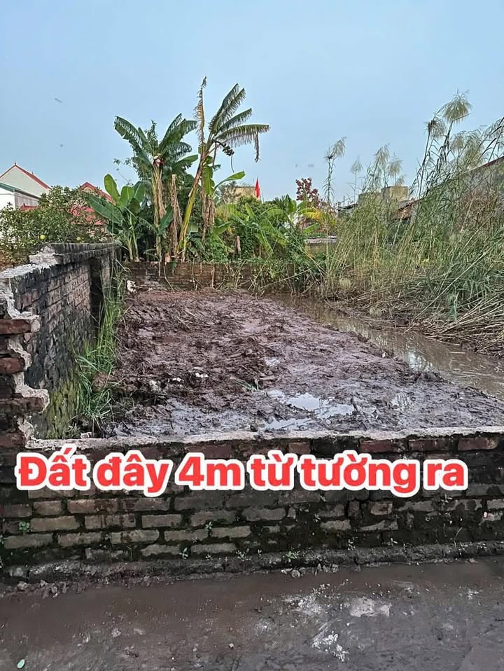 Đất Thư Phú, Thường Tín 50m² giá 2.33 tỷ - Ô tô đỗ cửa, vị trí tuyệt đẹp!