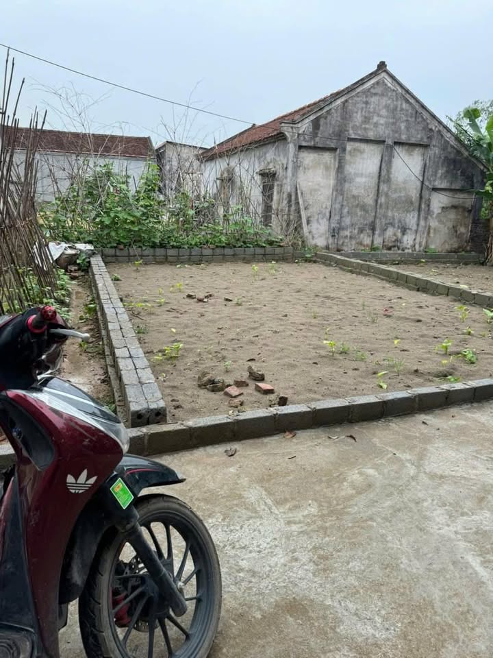 Đất Dũng Tiến Thường Tín 40m² giá chỉ 1.38 tỷ - Tiềm năng đầu tư lớn!