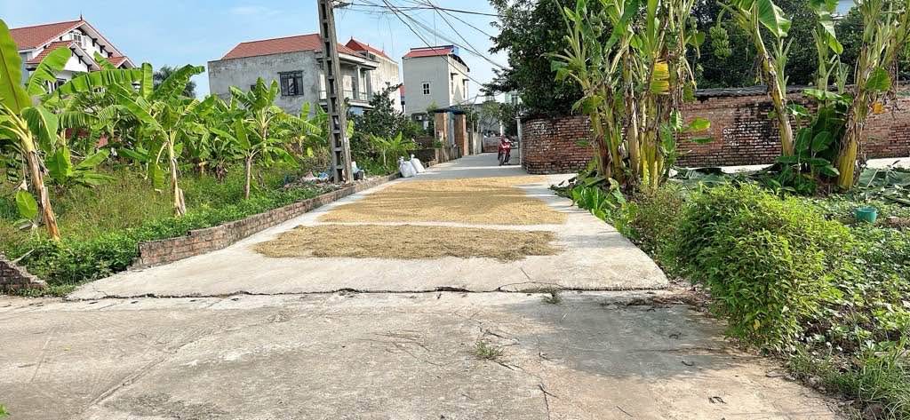 Đất 2 mặt đường Mỹ Lộc, Thanh Lâm, Mê Linh 77m² giá 3.2 tỷ - Cơ hội đầu tư tuyệt vời!