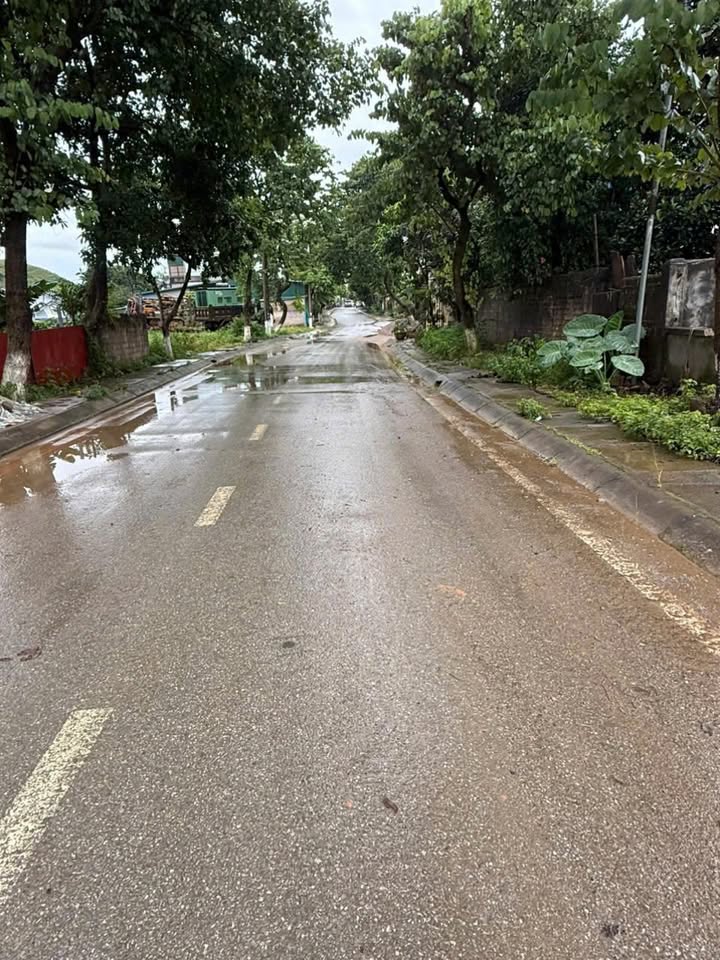 Đất nền TDP 3/2 Mộc Châu 425m² giá thỏa thuận - Đầu tư sinh lời ngay!