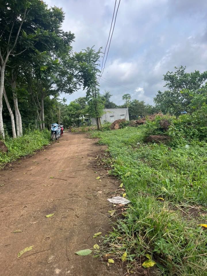 Đất nở hậu 20m mặt tiền, 2000m² giá 160 triệu tại Lộc An - Cơ hội đầu tư hấp dẫn!