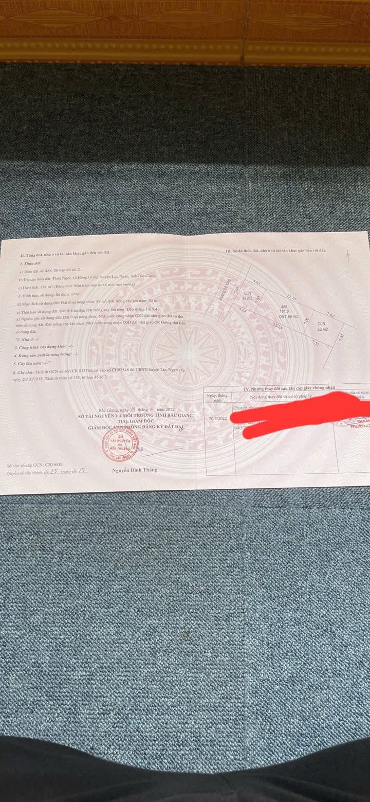 Đất Hồng Giang, Lục Ngạn 181m² giá 700 triệu - Đầu tư sinh lời nhanh chóng!