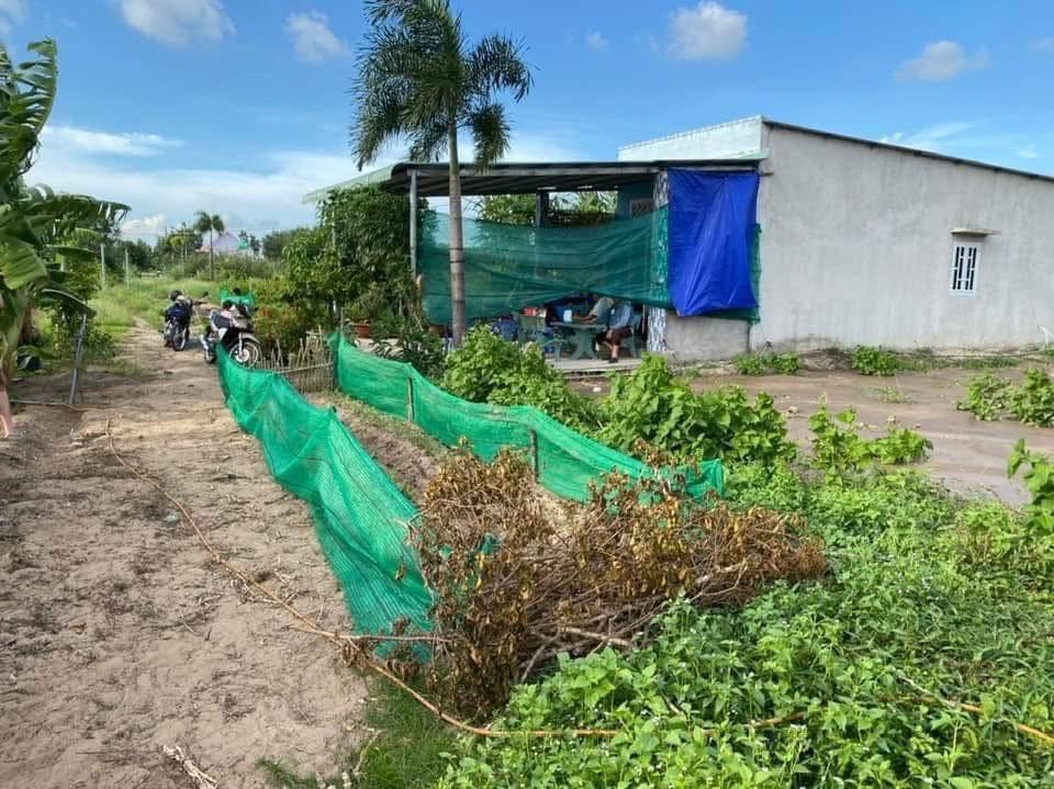 Đất vườn 502m² tại Bình Đức, Bến Lức - Giá chỉ 580 triệu!