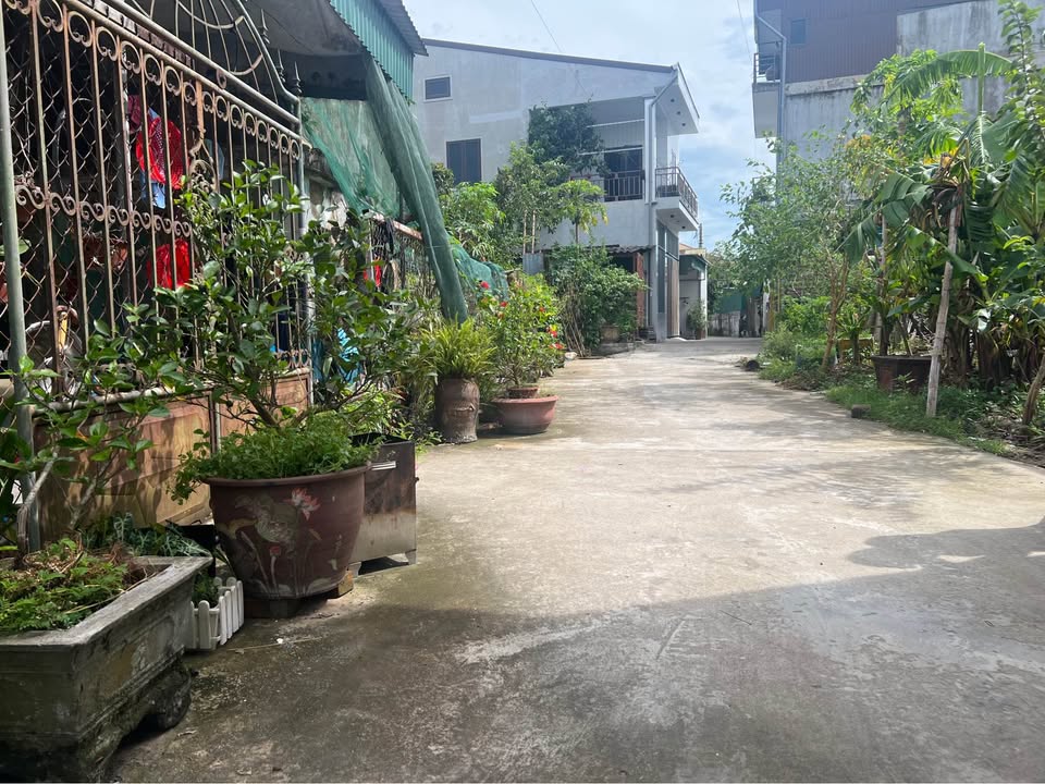 Nhà 2 tầng chính chủ tại phường Thành Vinh, Nghệ An - Giá 2.9 tỷ, gần trường học!