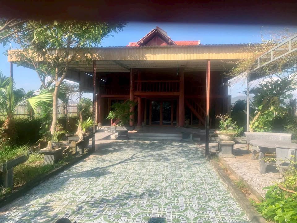 Đất nền 300m² đường Hoàng Hanh, Nghi Liên, Vinh - Tiềm năng tăng giá cao!