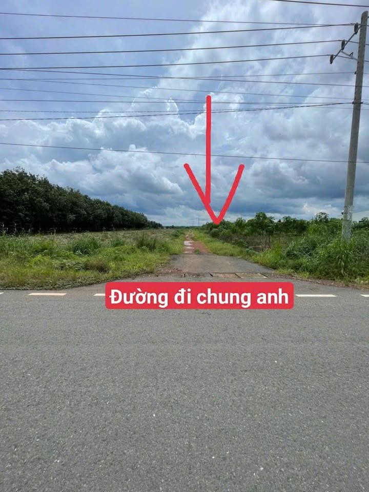 Đất nền 1300m² tại Nha Bích Bàu Bàng - Giá chỉ 400 triệu!