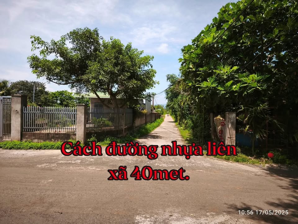 Đất thổ cư 300m² thôn Phước Trạch, xã Ea Phê, giá 745 triệu - Sổ hồng chính chủ!