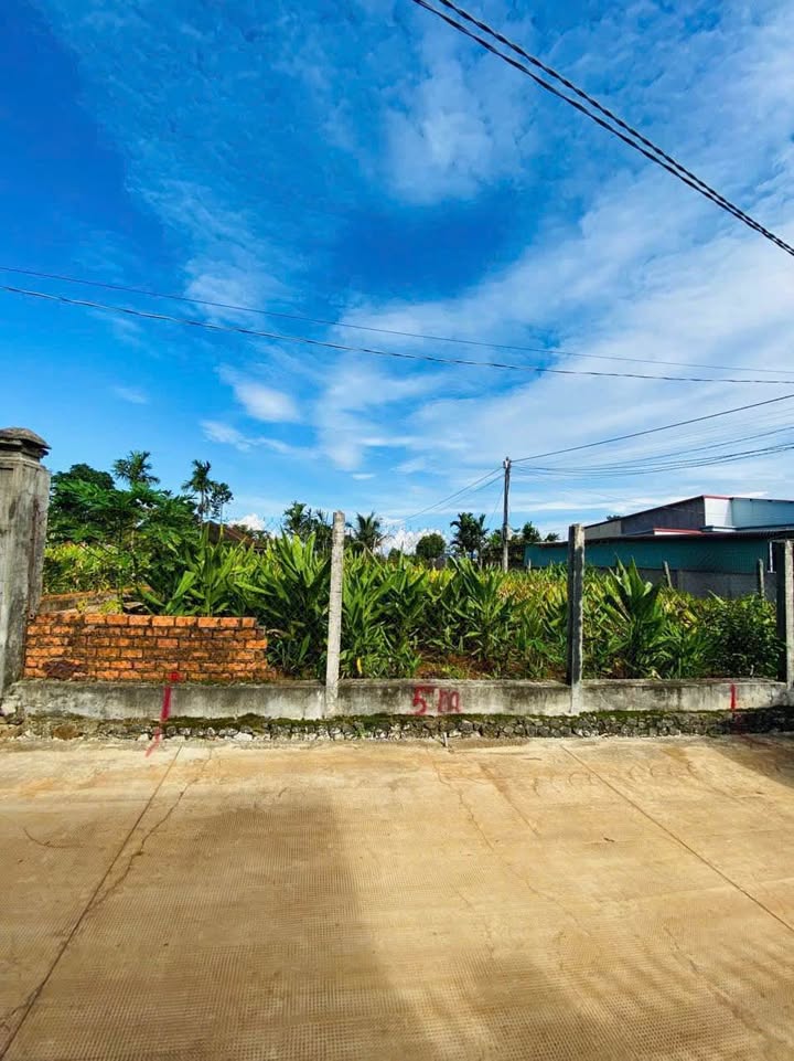 Đất nền mặt tiền Lê Hồng Sơn, Buôn Hồ, 150m² giá 565 triệu - Cơ hội đầu tư hấp dẫn!