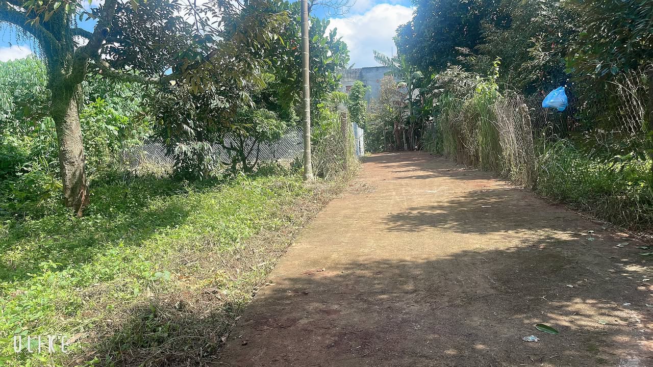 Đất nền chính chủ tại đường Bùi Thị Xuân, Krông Pắc, 120m² - Giá chỉ 900 triệu