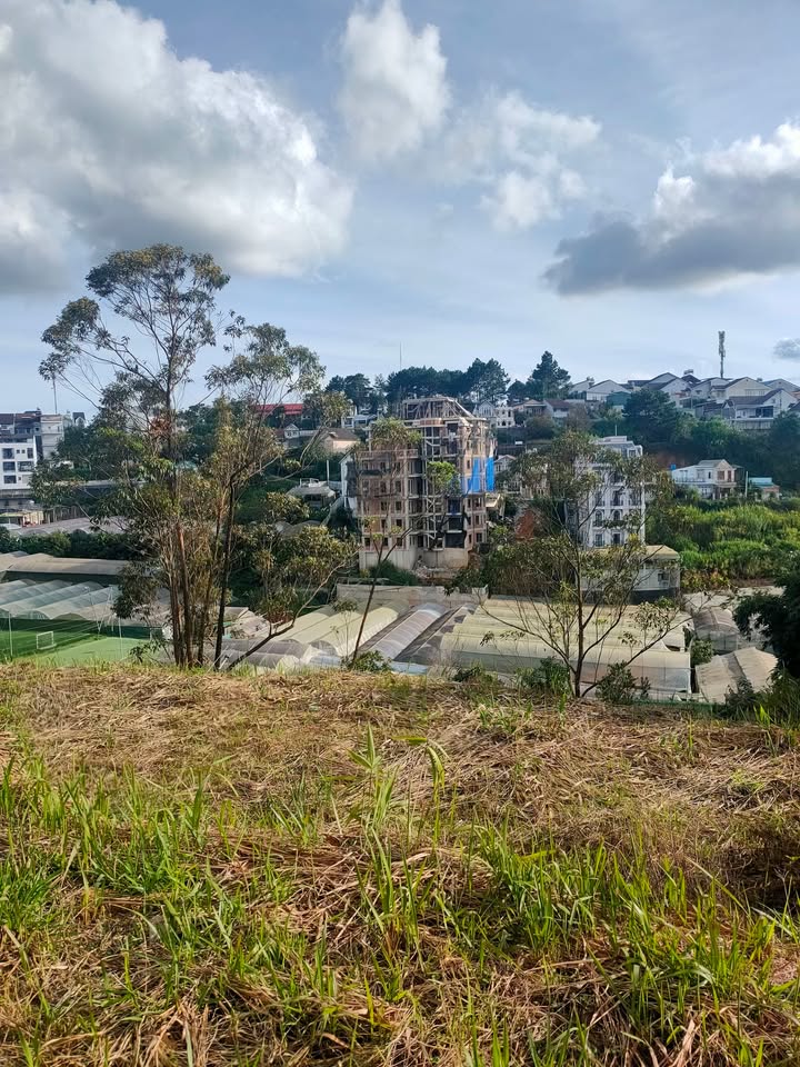 Đất nền đường Nguyễn Hữu Cảnh, Đà Lạt 2454m² giá 50 tỷ - Cơ hội đầu tư tuyệt vời!