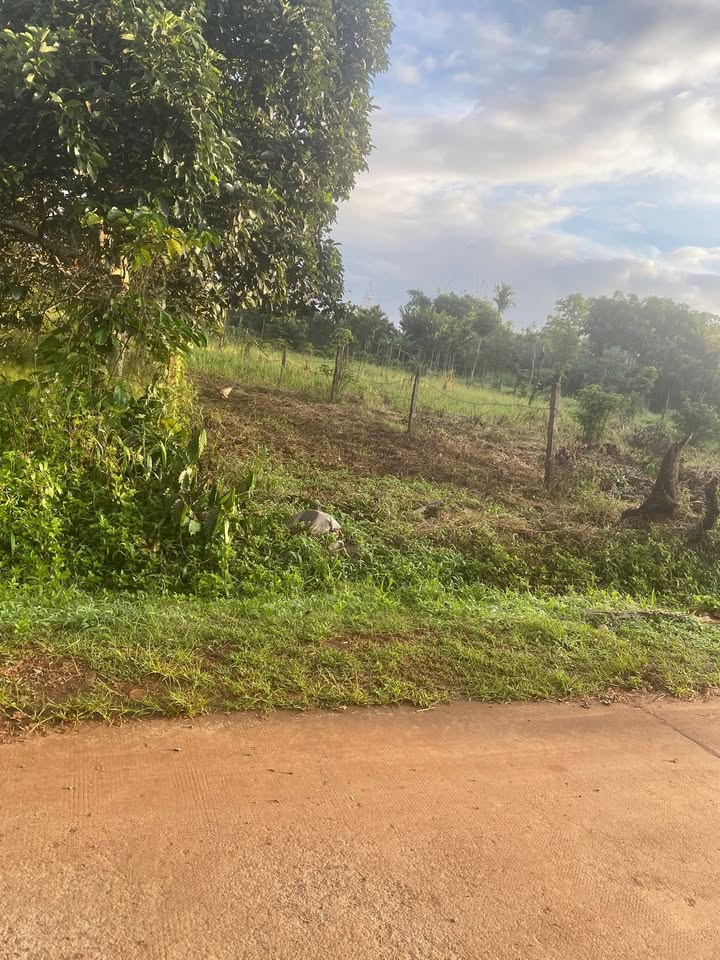 Đất nền đẹp tại trục đường Lê Hồng Phong, Buôn Hồ, 550m² giá chỉ 1.75 tỷ - Đầu tư sinh lời ngay!