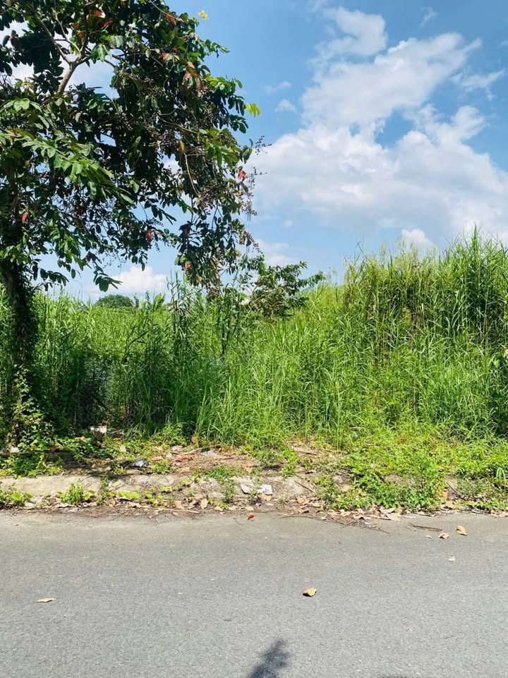 Đất nền KDC Phú An 81m² giá 2.35 tỷ - Vị trí đẹp, không vướng cống