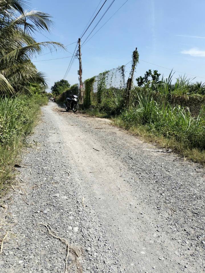 Đất nền chính chủ tại xã Song Bình, Chợ Gạo, 125m² chỉ 400 triệu - Cơ hội đầu tư tuyệt vời!