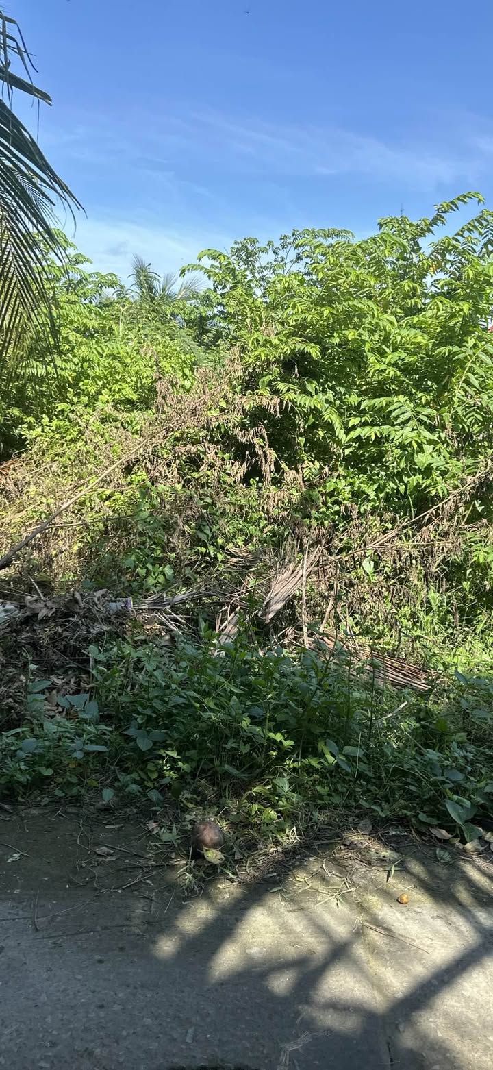 Đất thổ cư 90m² tại ấp 4, phường Trung An, Mỹ Tho - Giá thương lượng hấp dẫn!