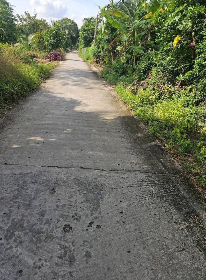 Đất nền 1000m² xã Mỹ Hạnh Đông, giá 1.7 tỷ - Mặt tiền xe hơi thuận tiện!