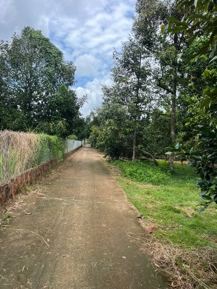 Đất nền đẹp phường Xuân Tân, TP. Long Khánh 105m² giá 650 triệu - Đầu tư sinh lời ngay!