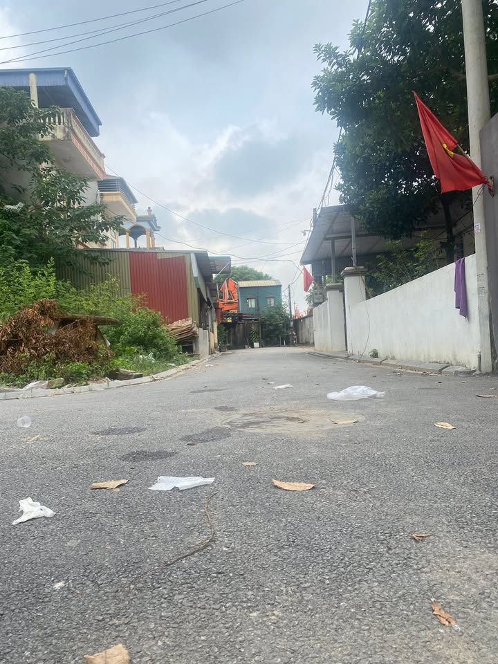 Đất nền Nguyên Khê, Đông Anh 43m² giá 3 tỷ - Đường thông ô tô vào tận nơi!