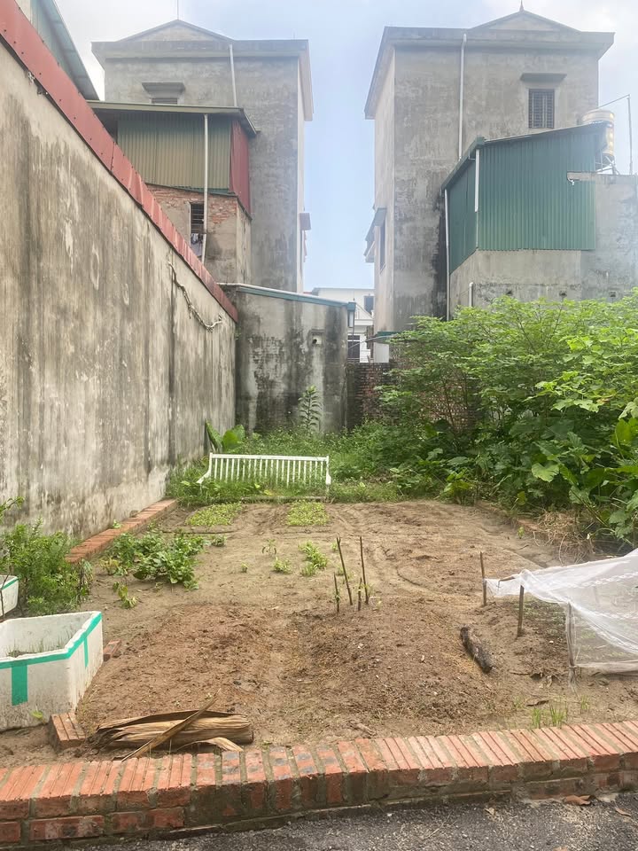 Đất Nguyên Khê, Đông Anh 55m² giá chỉ 3.85 tỷ - Ô tô đỗ cửa, cơ hội đầu tư tốt!