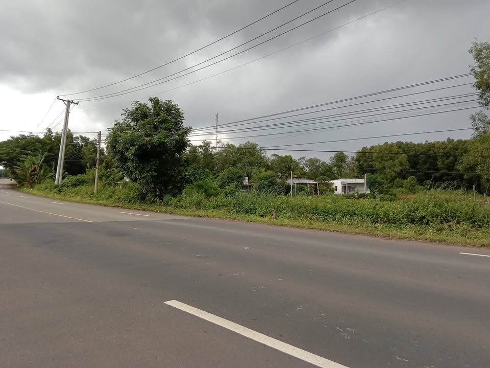 Đất nền mặt tiền đường TL 765, xã Bình Trung, 350m² - Đầu tư sinh lời ngay!