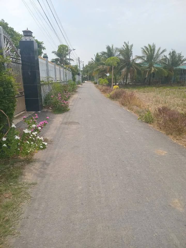 Đất Ruộng 875m² tại Ấp 2, Bình Xuân - Giá chỉ 1.4 tỷ - Sổ hồng chính chủ!