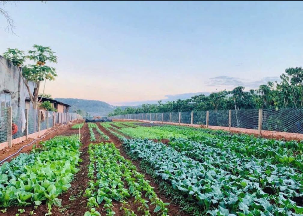 Đất nền 1690m² tại xã Bình Thạnh, giá 2.1 tỷ - Đầu tư sinh lời ngay!