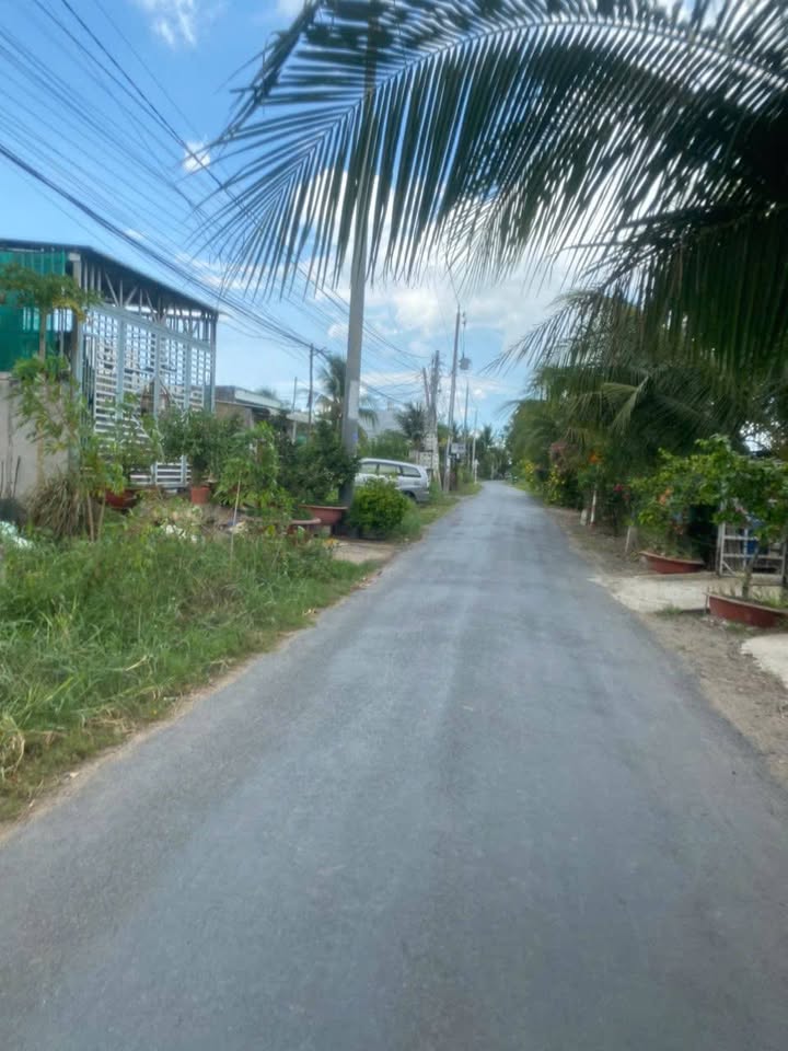 Nhà cấp 4 ấp 3, Tân Bửu, Bến Lức 176m² giá 1.98 tỷ - View kênh mát mẻ, khu đông dân cư!