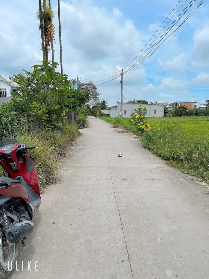 Lô đất thổ vườn 636m² tại Đức Hòa Thượng, Long An - Giá 3.8 tỷ, thương lượng ngay!