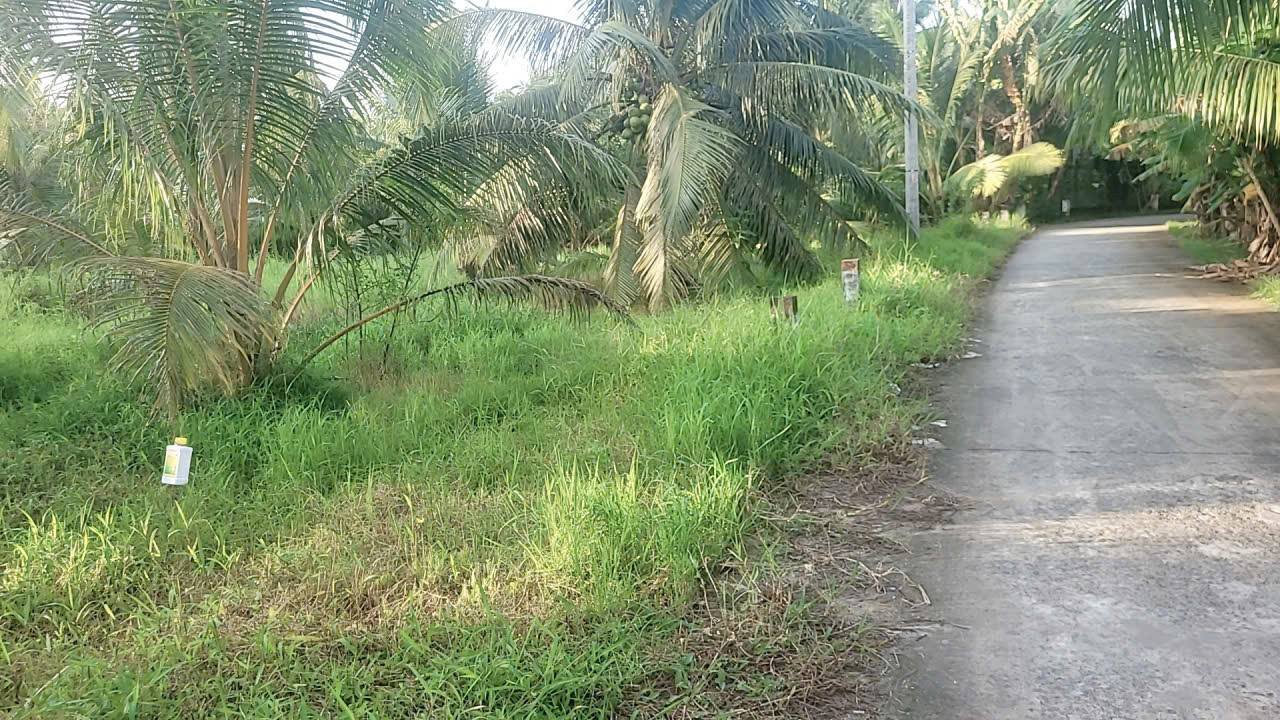 Đất 2000m² Phường Sơn Đông, Bến Tre giá chỉ 3.6 tỷ - Đầu tư sinh lời nhanh chóng!