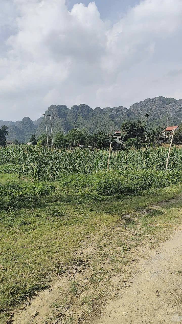 Đất nền 1975m² tại Lạc Thủy, Hòa Bình - Cơ hội đầu tư sinh lời tuyệt vời!