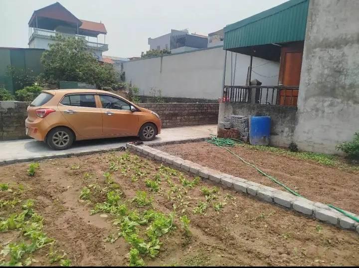 Đất Thư Phú Thường Tín 38.3m² giá 1.65 tỷ - Đầu tư sinh lời hiệu quả!