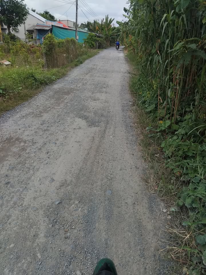 Đất nền Tân Nhuận Đông 80m² giá 300 triệu - Đầu tư sinh lời hấp dẫn!